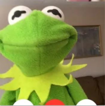 kermit